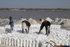 Senegal Lac Rose salt production 14 sewing bagsl