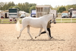 SBM_04629
