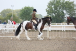 SBM_19844