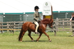 SBM_06802