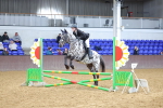 SBM_001675