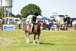 SBM_15534