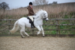 SBM_006086