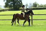 SBM_42524