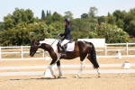 SBM_001259