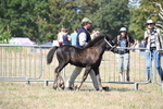 WJ6_4449