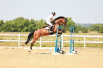 SBM_000729