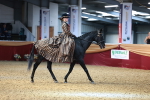SBM_13478