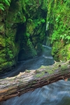 Finnich Gorge 3