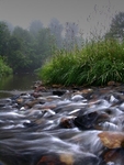 Painted Water