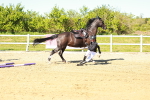 SBM_002114