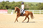 SBM_010195
