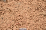 230405A-112910-00393