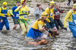 Dovedale Dash-533