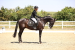 SBM_004038