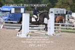 BPP_4477