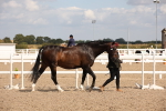 SBM_03734