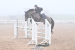 Cls 19 Pony Newcomers and 1m portfolio