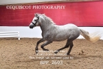 BPP_2693