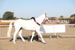 SBM_00183