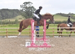 BPP_2947