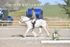 BPP_8575