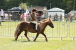 SBM_05384