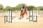 SBM_023582