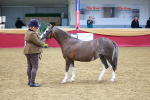 SBM_00472