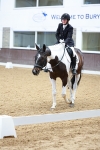 SBM_003577