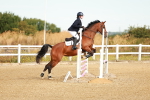 SBM_002031