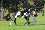 SIAL5708