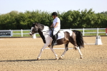 SBM_007440