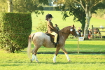 SBM_56776