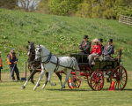 Attelage -704