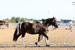 SBM_07966