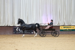SBM_001013