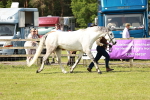 SBM_01709