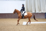 SBM_001738