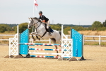SBM_003386