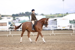 SBM_00139