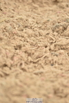 230611A-123736-05537