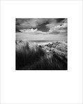 ‘Holkham Beach’
