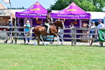 SBM_15290