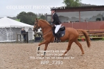 BPP_7391