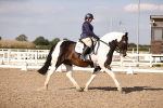 SBM_08016