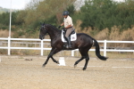 SBM_008590