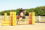 SBM_005333
