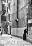 PRIEST WITH PIGEONS - VENICE