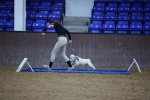 SBM_006062
